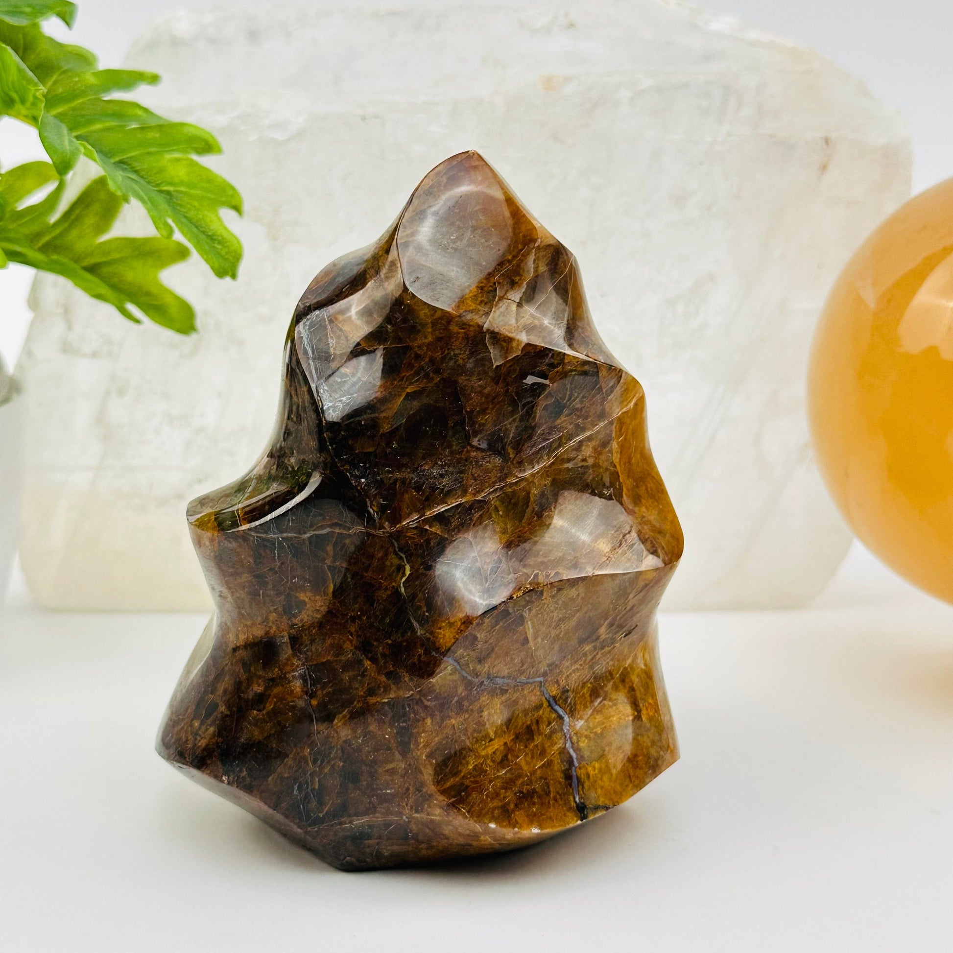 golden healer flame point displayed as home decor