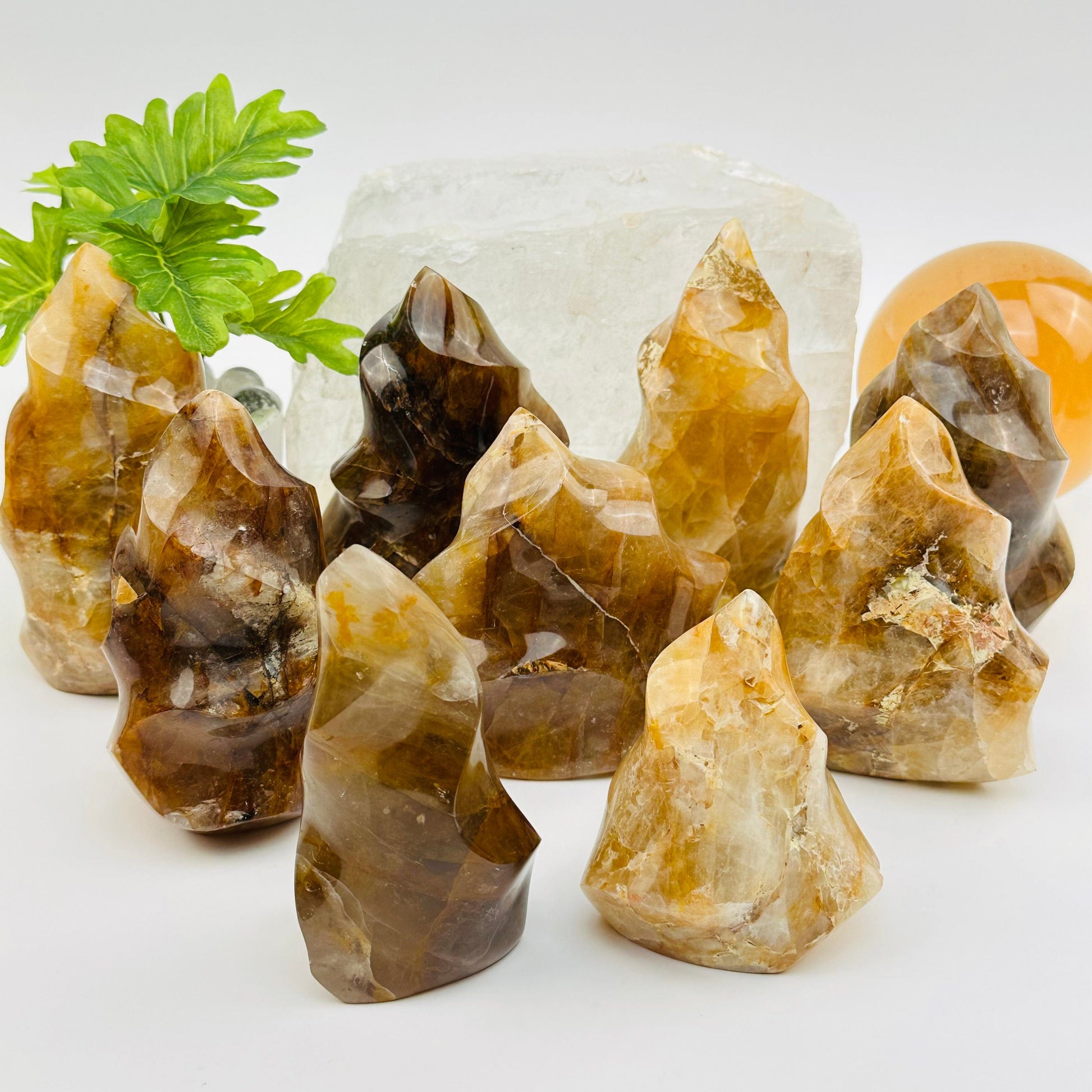multiple golden healer flame polished points displayed to show the differences in the sizes and color shades 