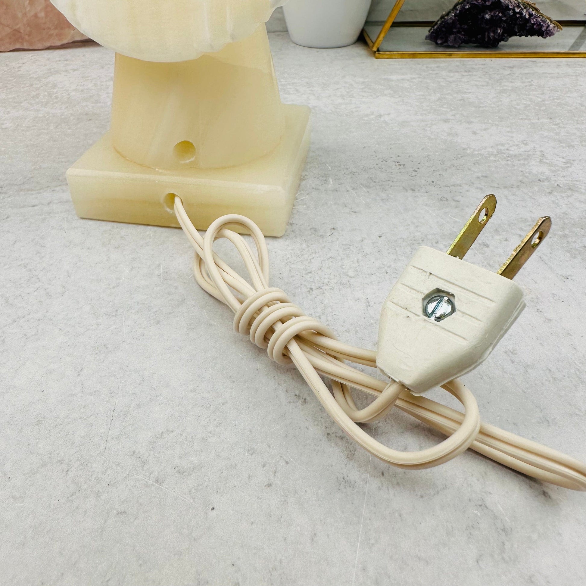 lamps come with a plug in power cord 