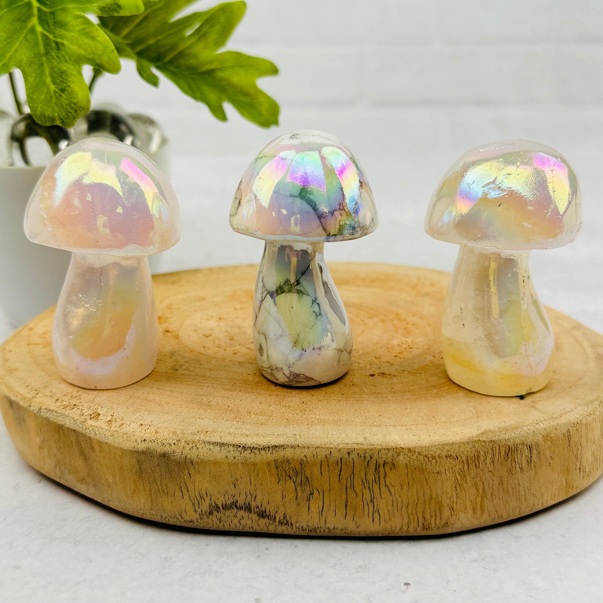 Gemstone Angel Aura Mushrooms - You Choose Stone