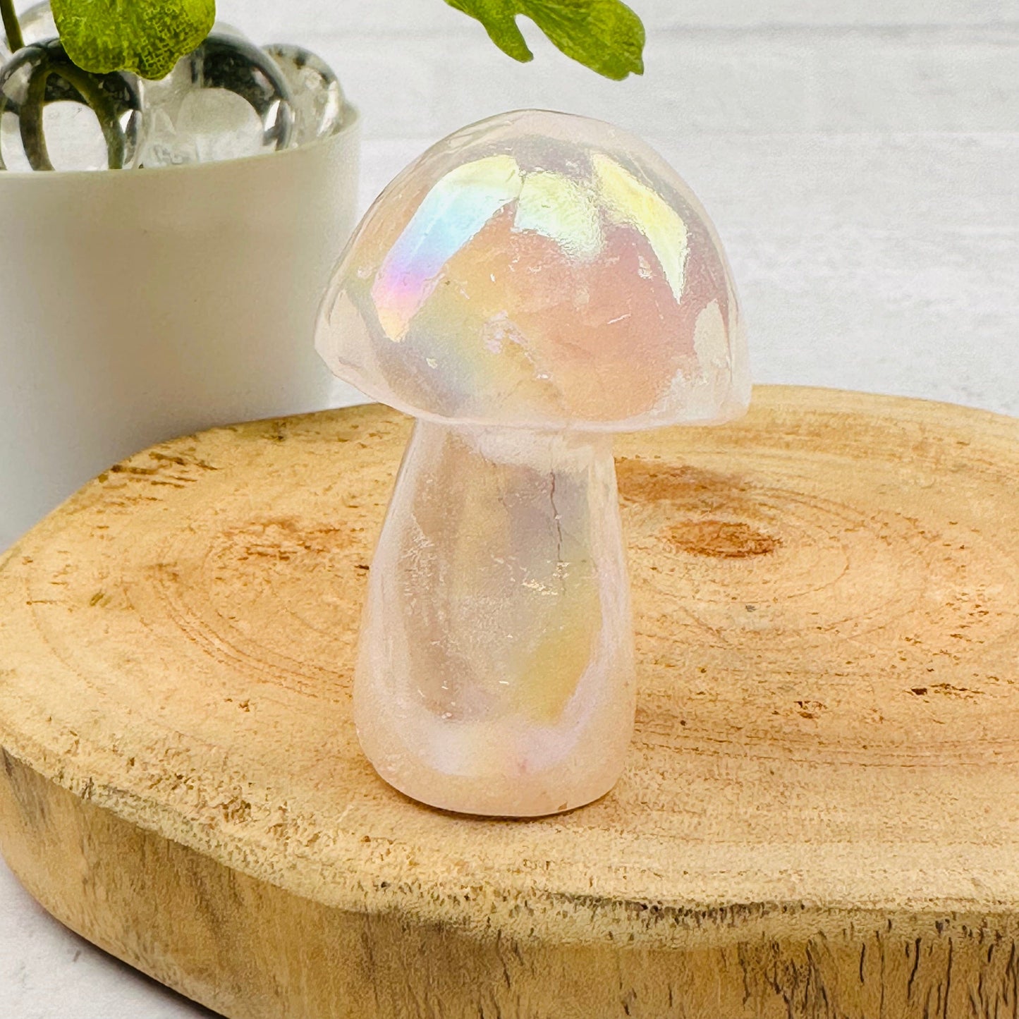 gemstone mushroom displayed as home decor