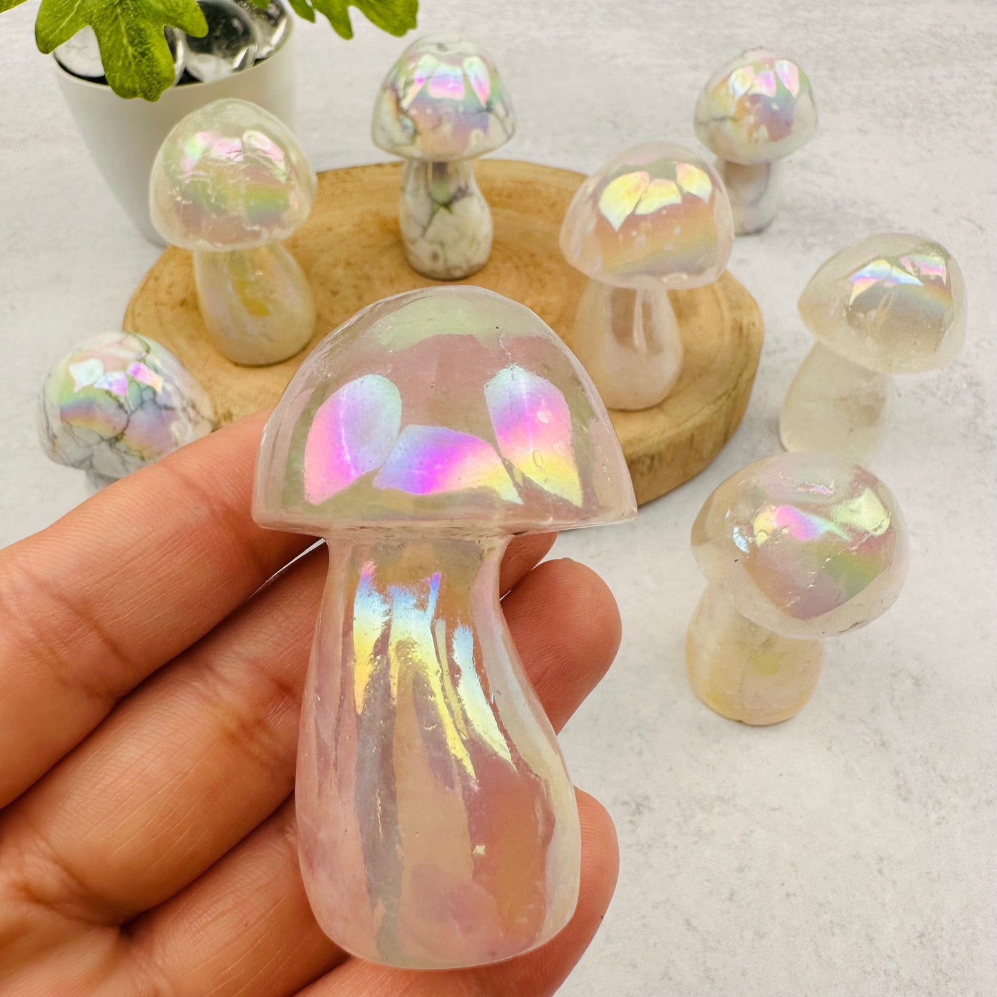 close up of the details in the gemstone mushroom
