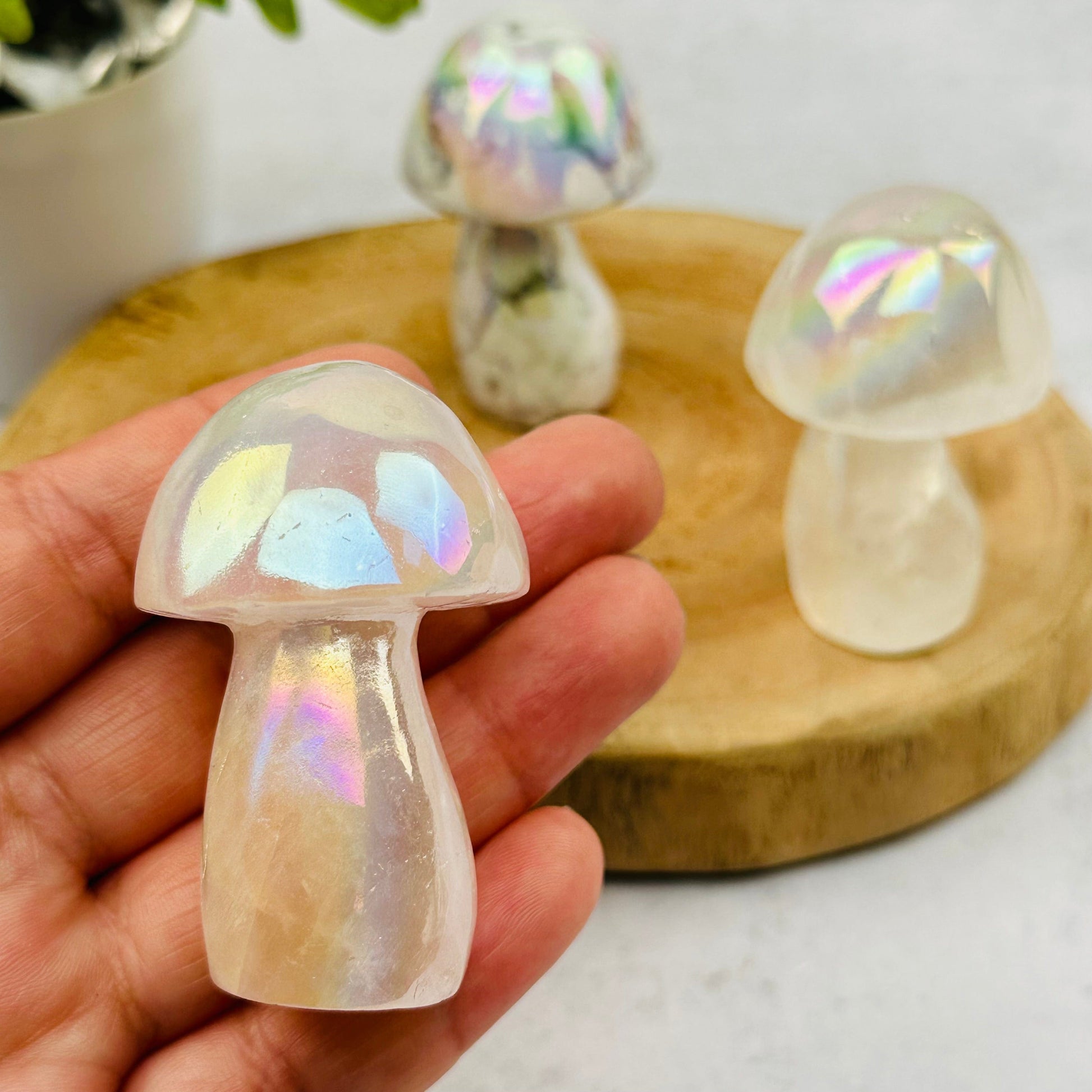 Gemstone Angel Aura Mushroom in hand for size reference  