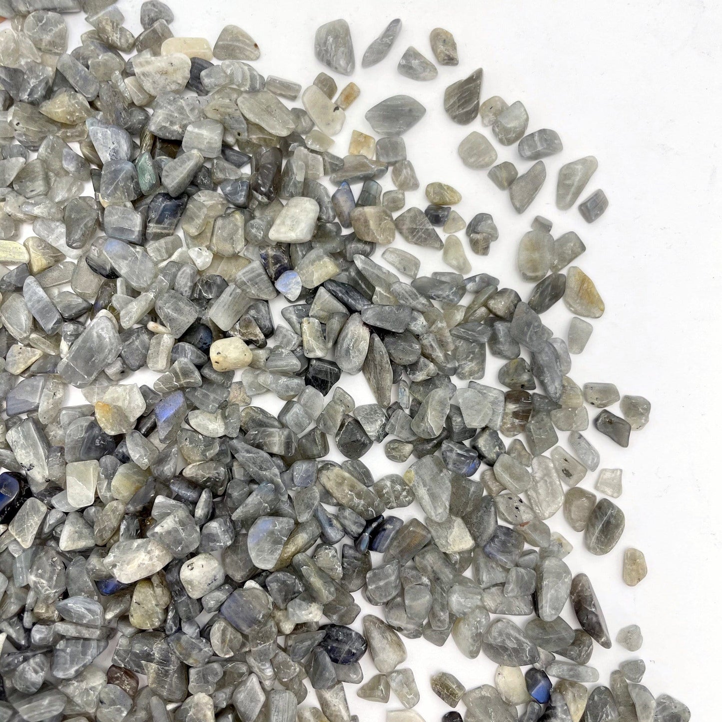 labradorite chips on white background