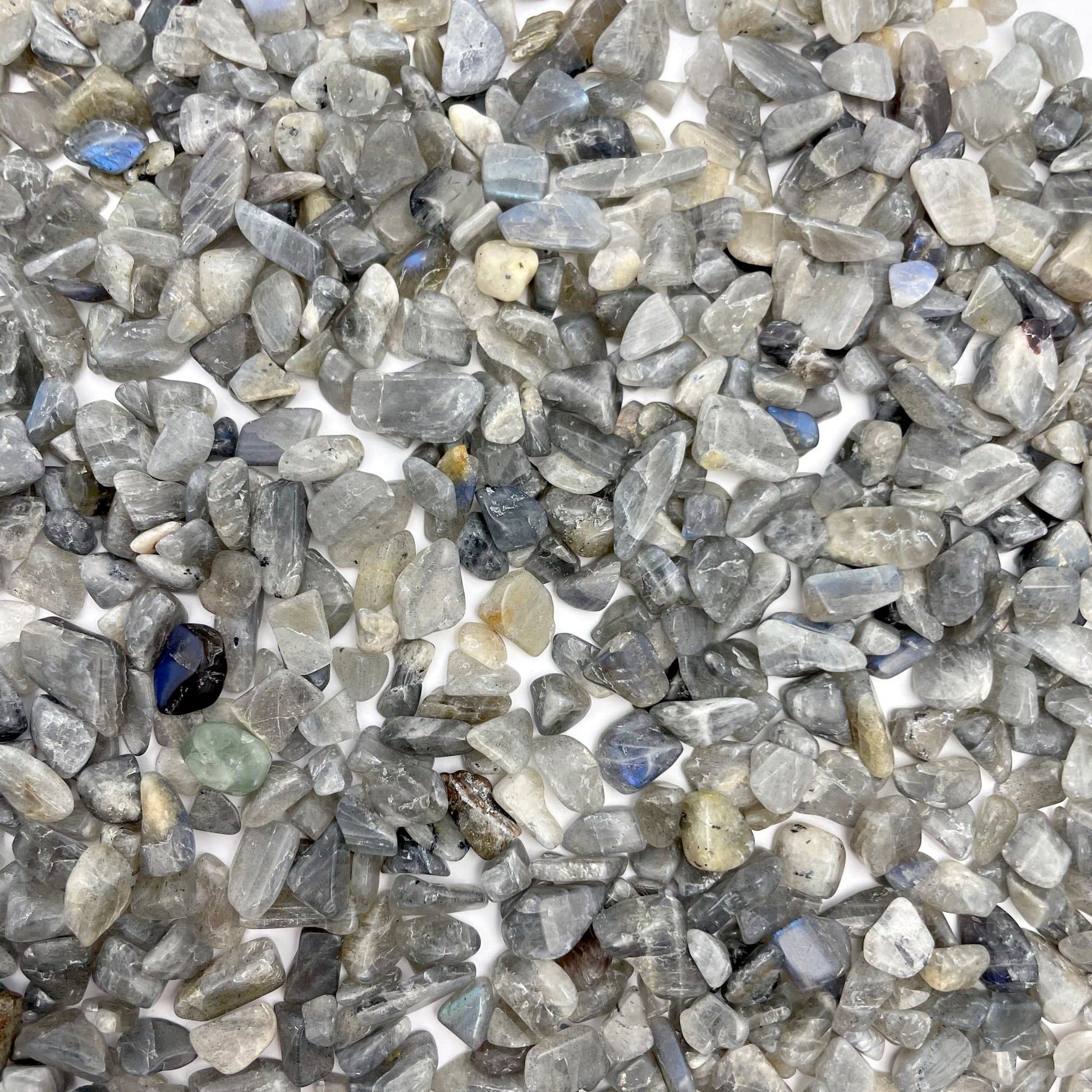 labradorite chips on white background
