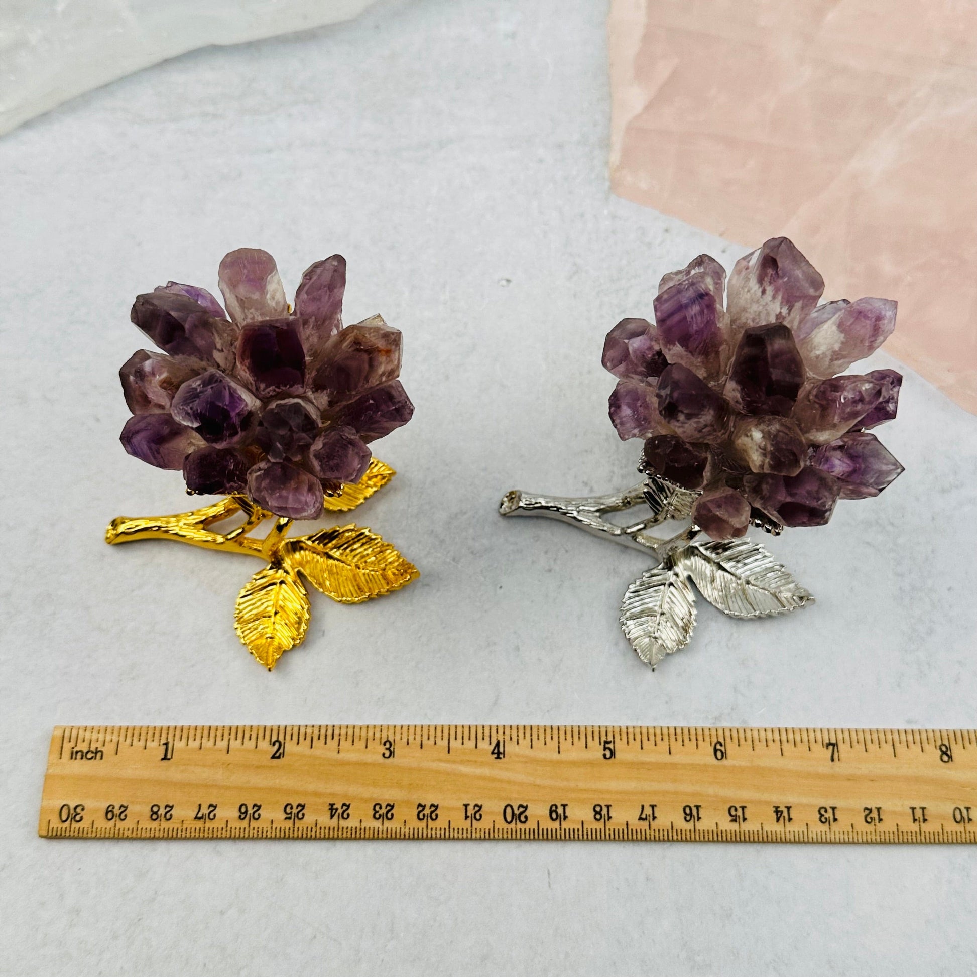 roses next to a ruler for size reference 