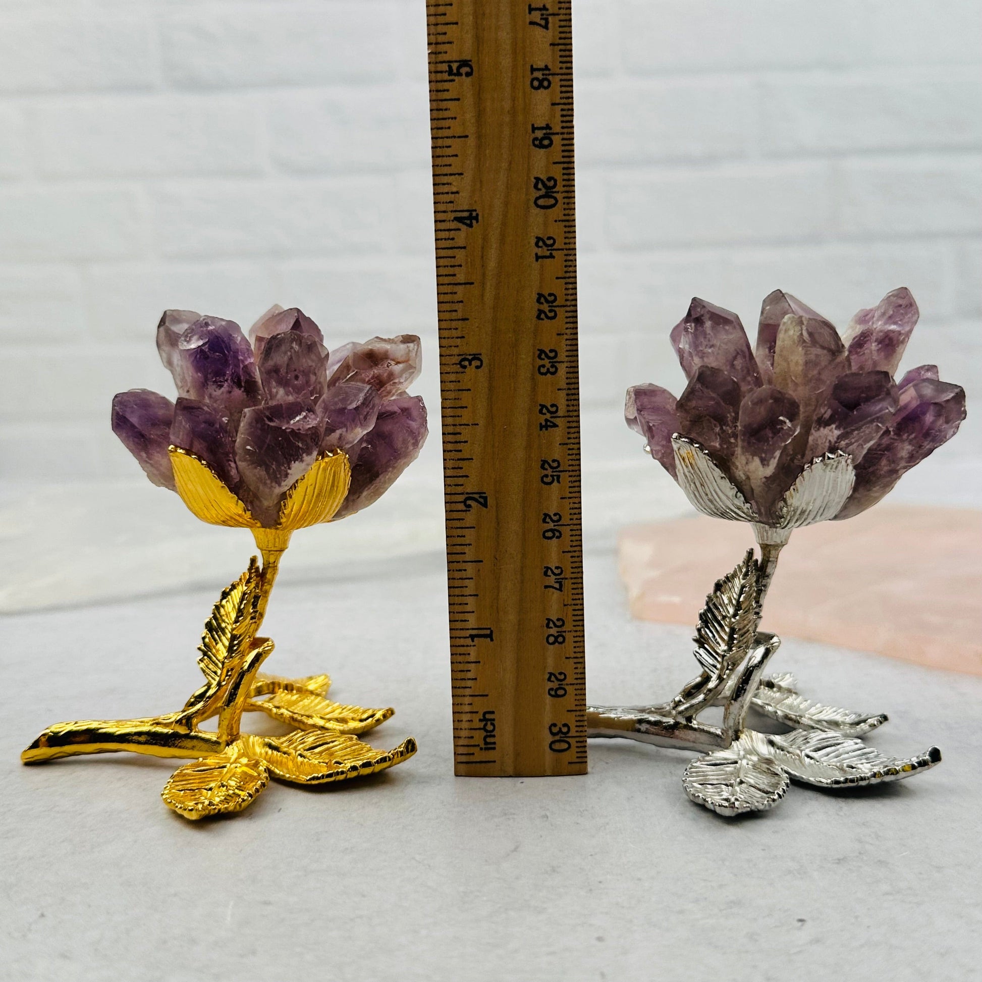 roses next to a ruler for size reference 