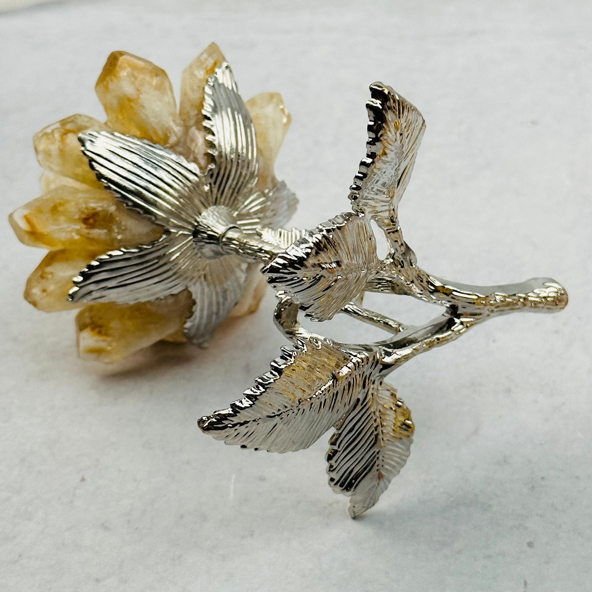 close up of the details on the roses stem and leaf base 