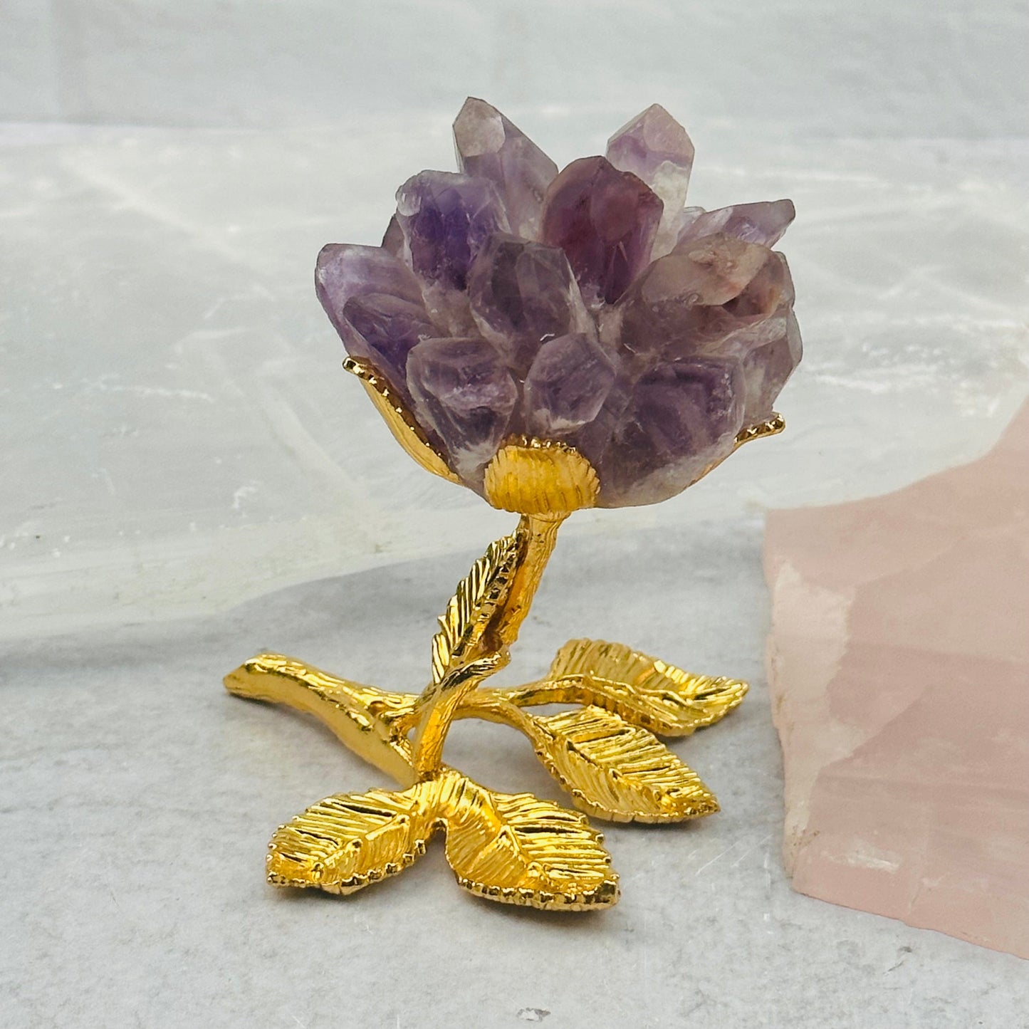 Gemstone Point Rose displayed as home decor 