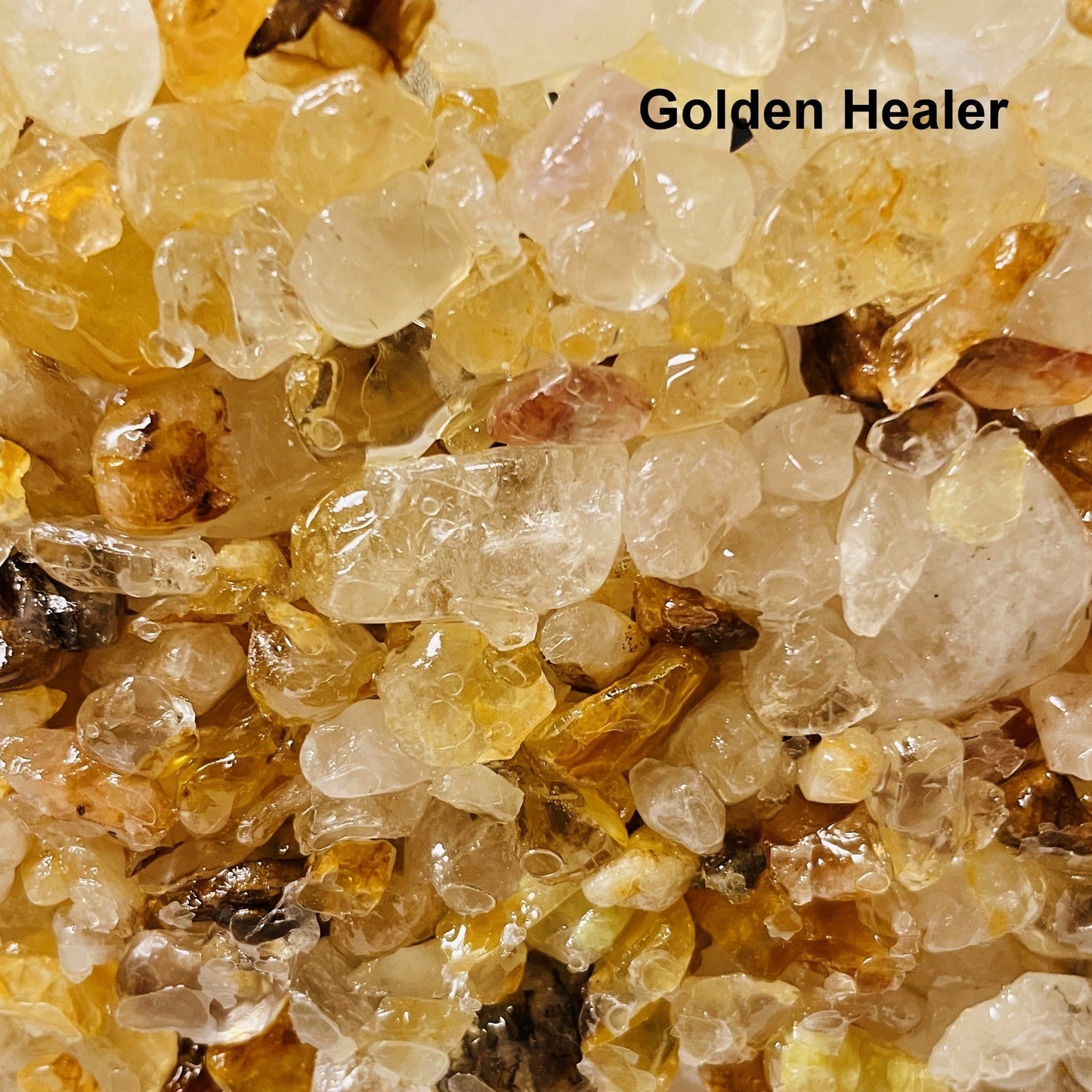 close up of golden healer bowl