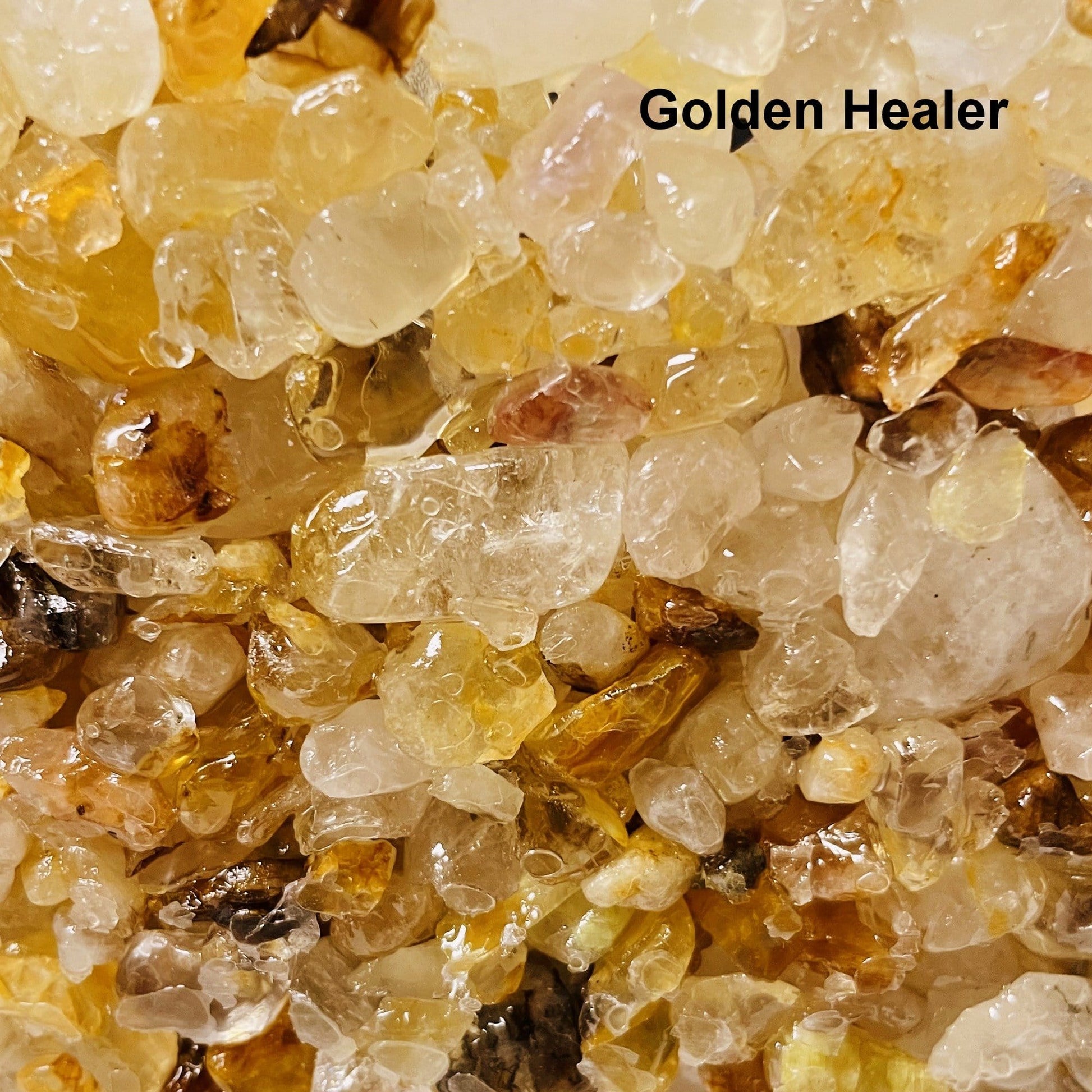 close up of golden healer bowl