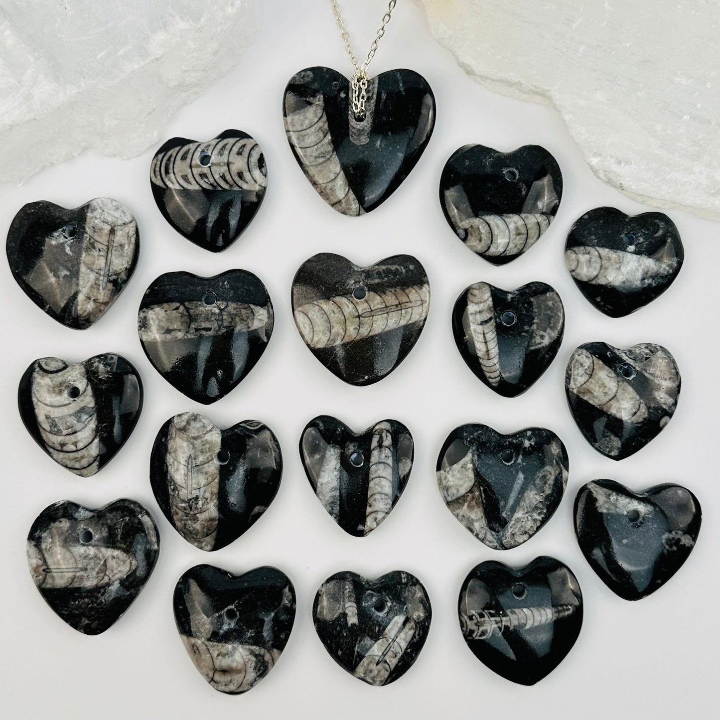 multiple Orthoceras Heart Fossil Beads displayed to show the differences in the sizes and patterns 