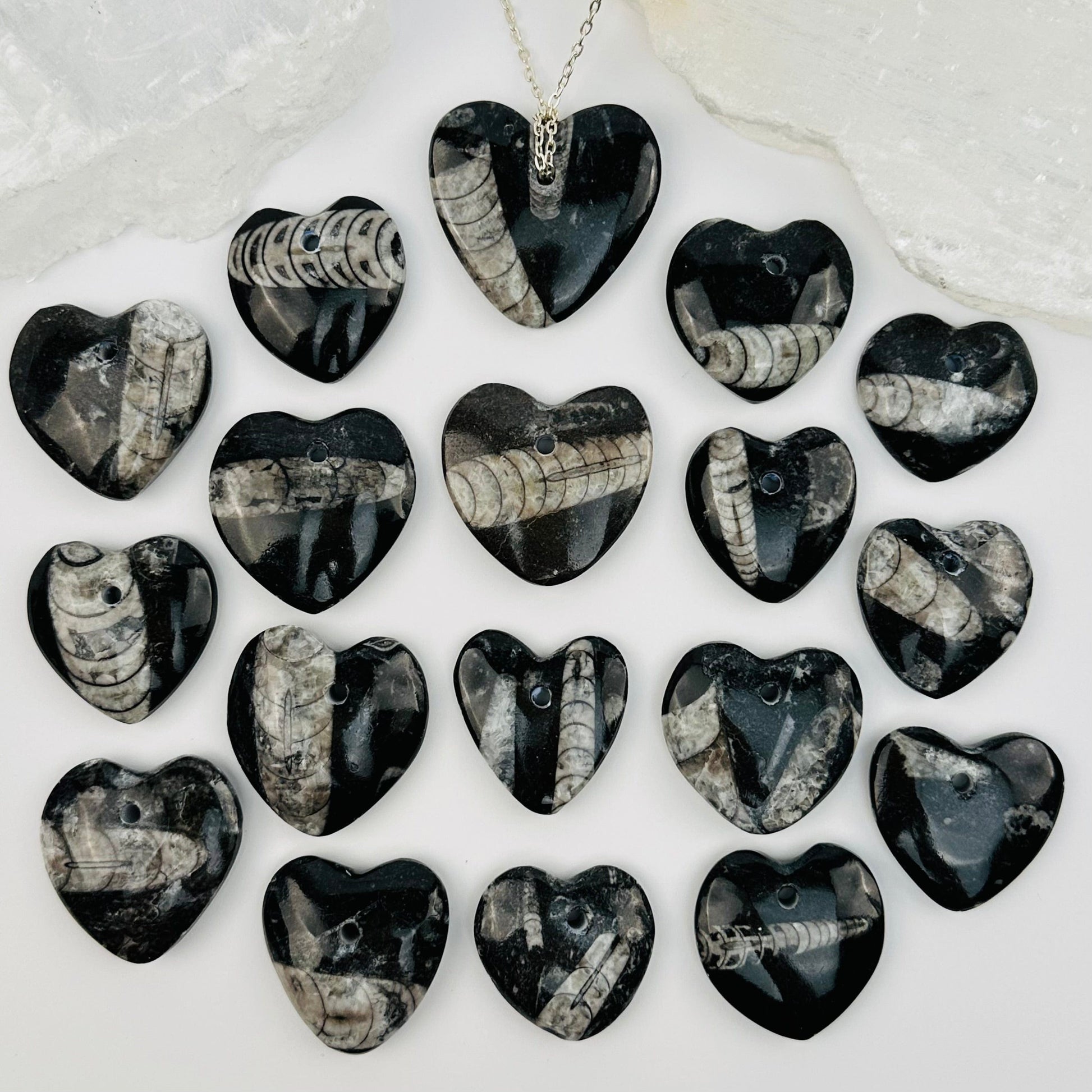 multiple Orthoceras Heart Fossil Beads displayed to show the differences in the sizes and patterns 