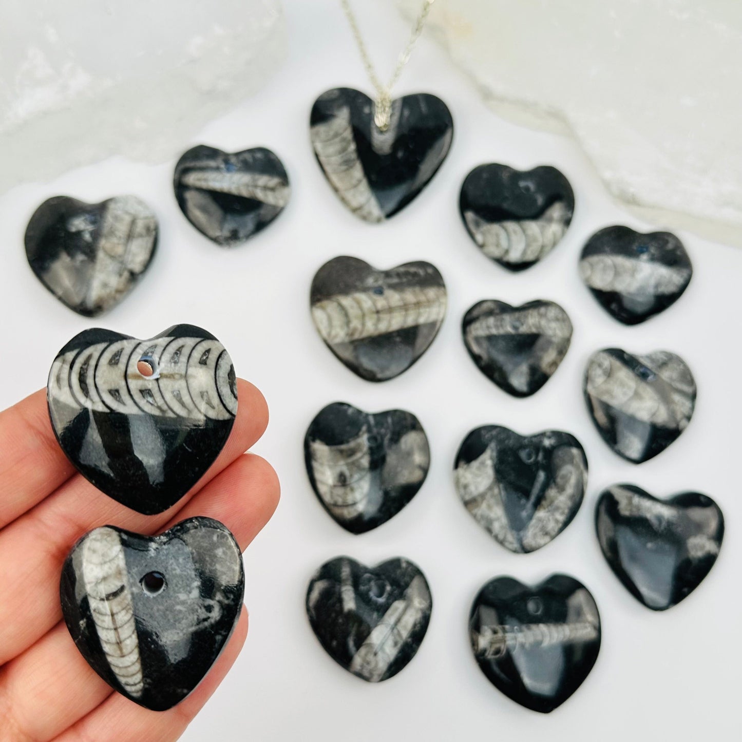 Orthoceras Heart Fossil Beads in hand for size reference 