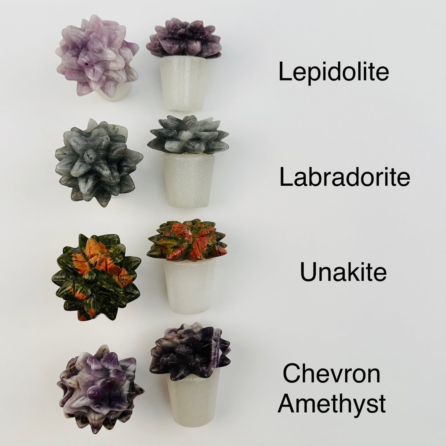 Carved Crystal Succulent in Pot displayed next to their crystal name