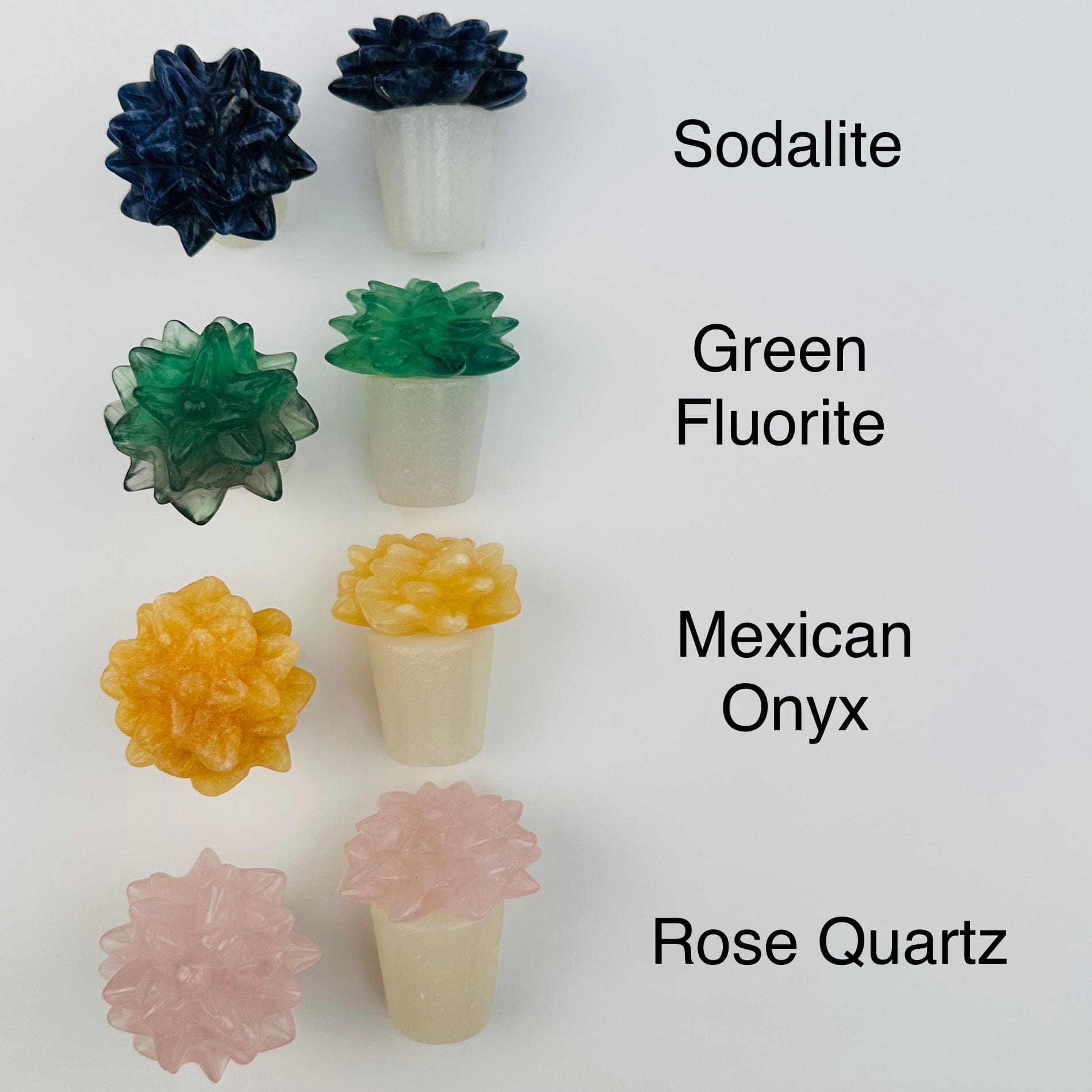 Carved Crystal Succulent in Pot displayed next to their crystal name