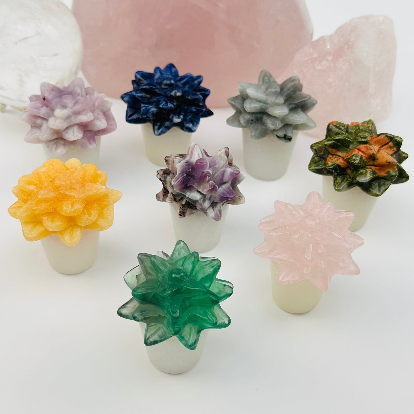 multiple Carved Crystal Succulents in Pots to show the differences in the crystal types