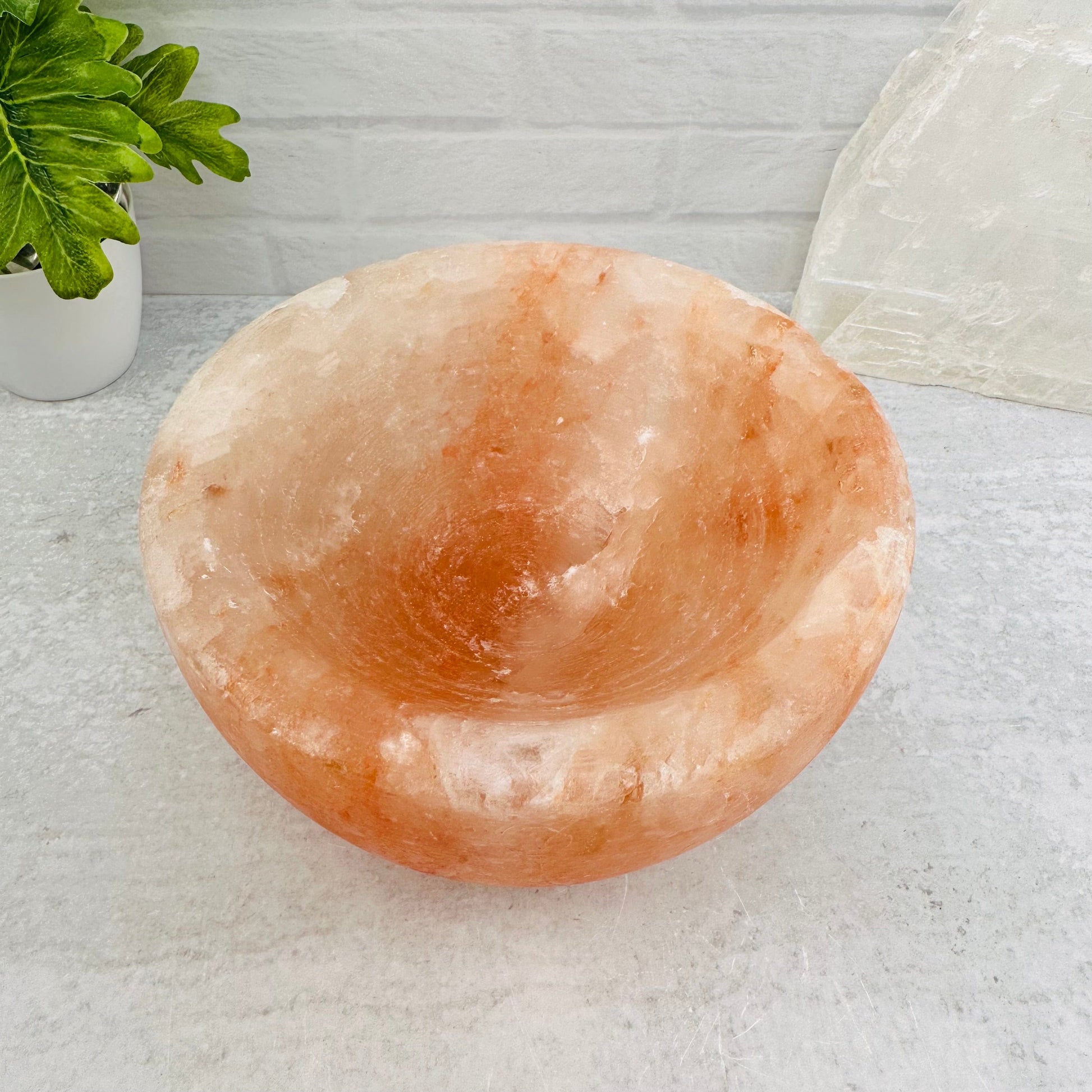 top view to see how deep the bowl goes 