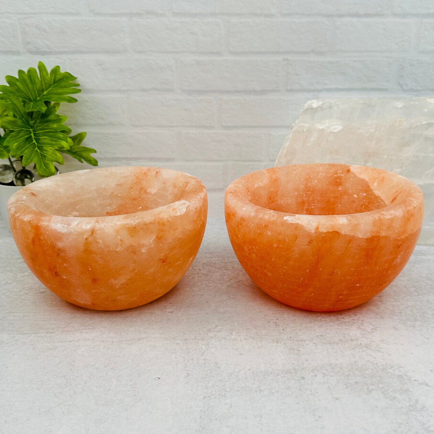 two bowls displayed next to each other to show the slight differences in the sizes 