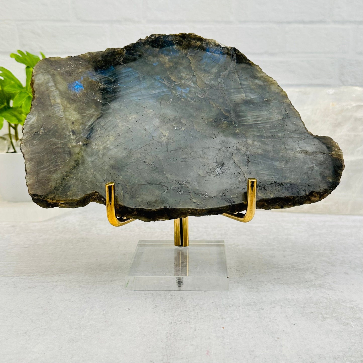 Acrylic Base and Brass Holder displayed as home decor