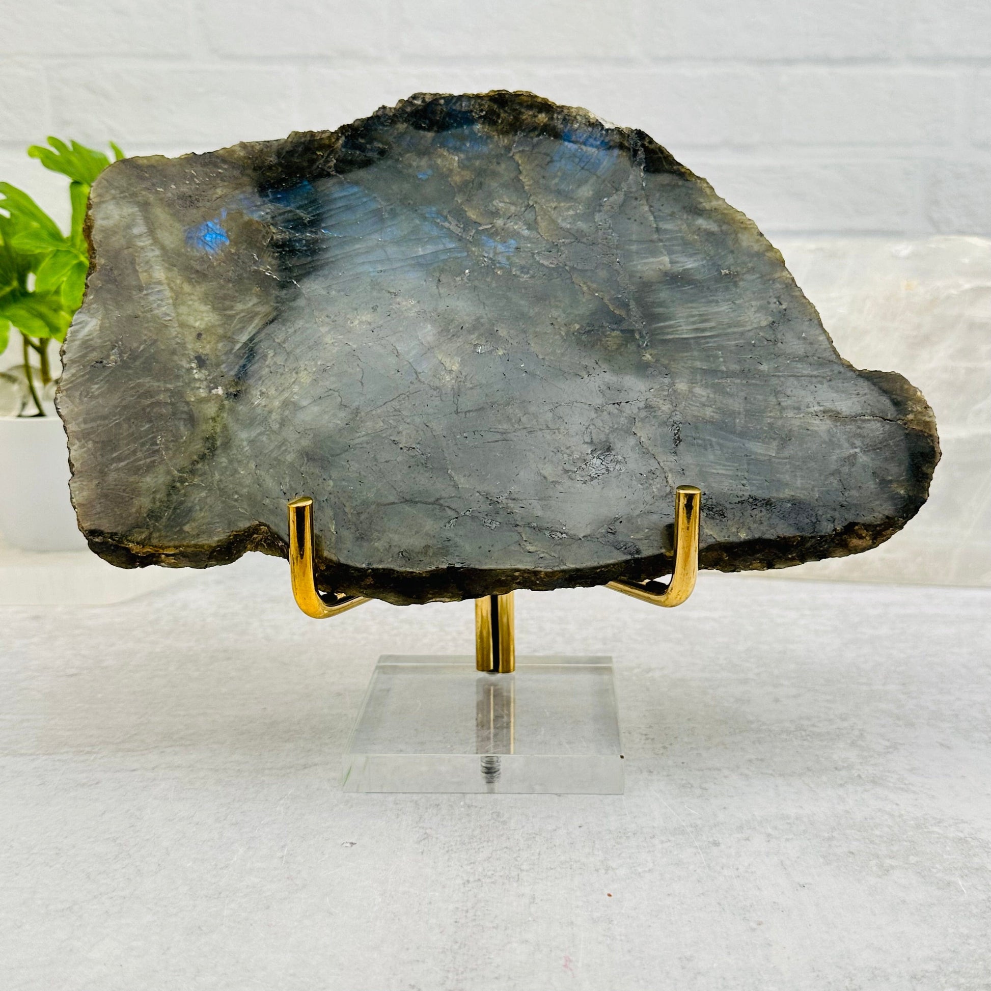 Acrylic Base and Brass Holder displayed as home decor