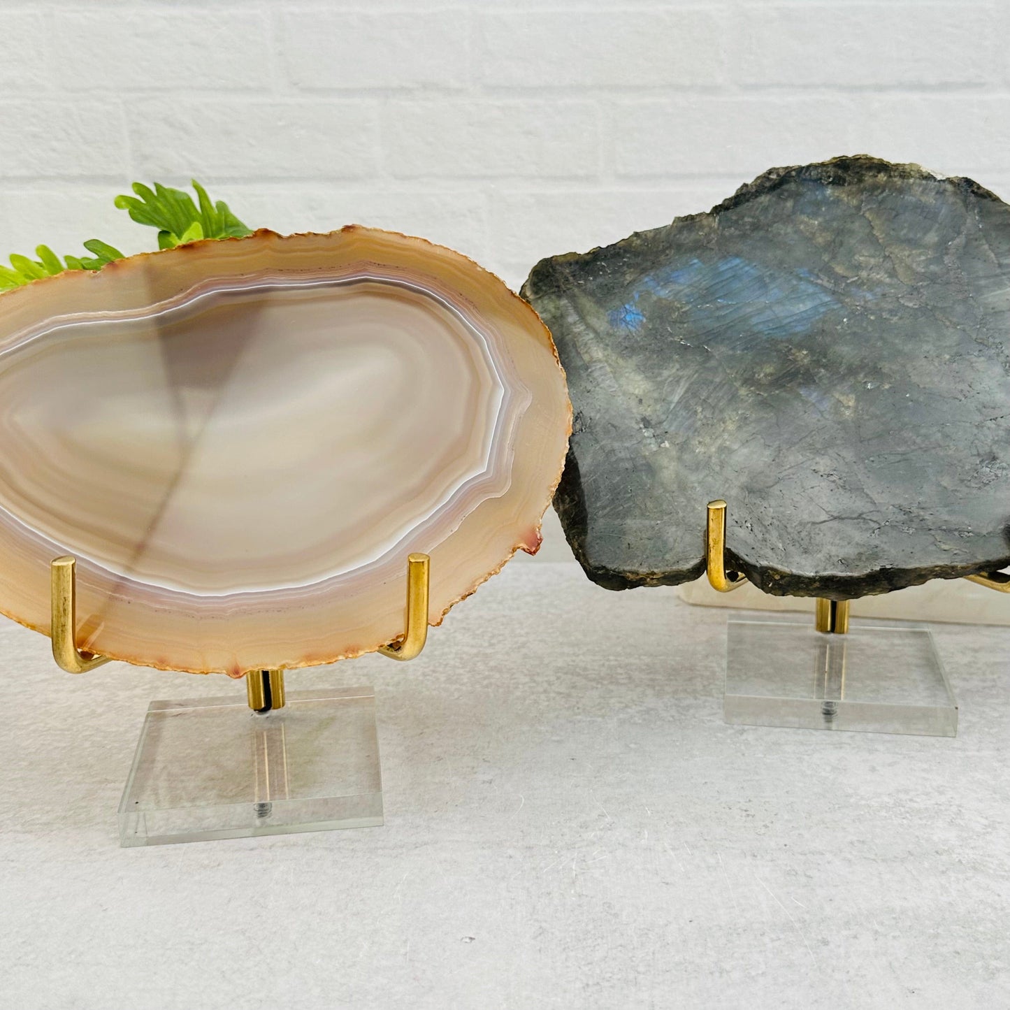 Acrylic Base and Brass Holder displayed as home decor