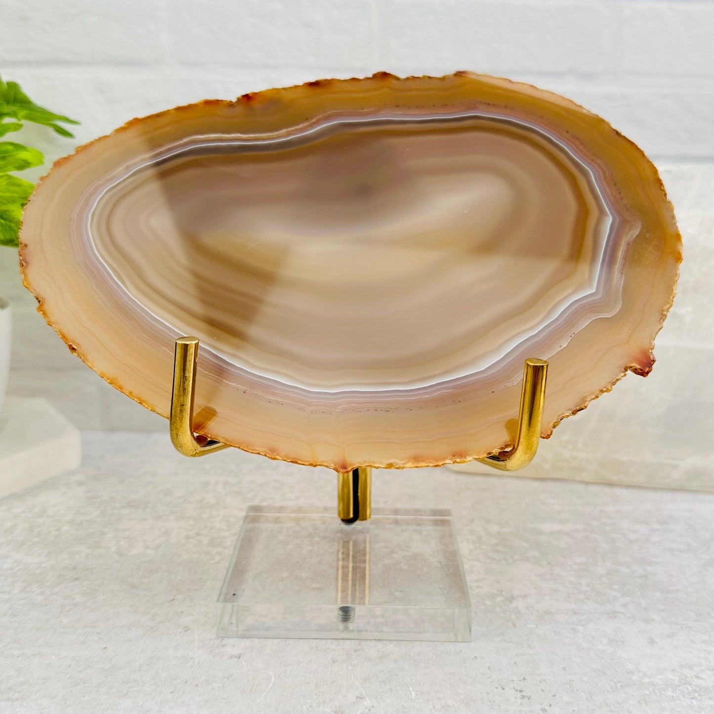 Acrylic Base and Brass Holder displayed as home decor 