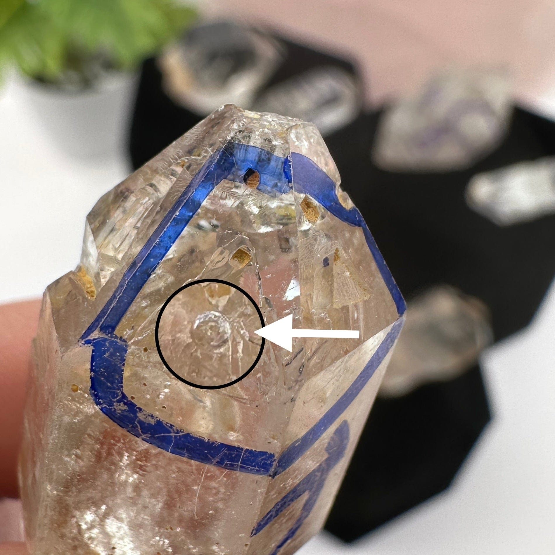 close up of this water bubble that has been trapped within this crystal 