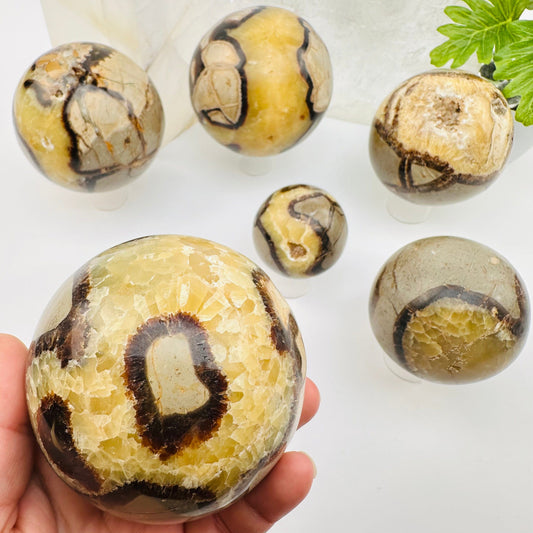 close up of the details on this septarian sphere 