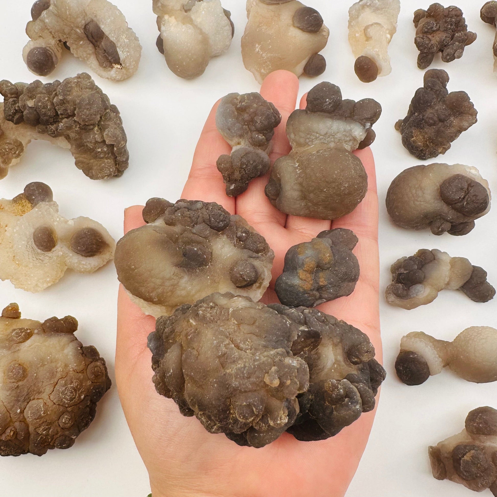multiple Botryoidal Chalcedony pieces in hand for size reference 