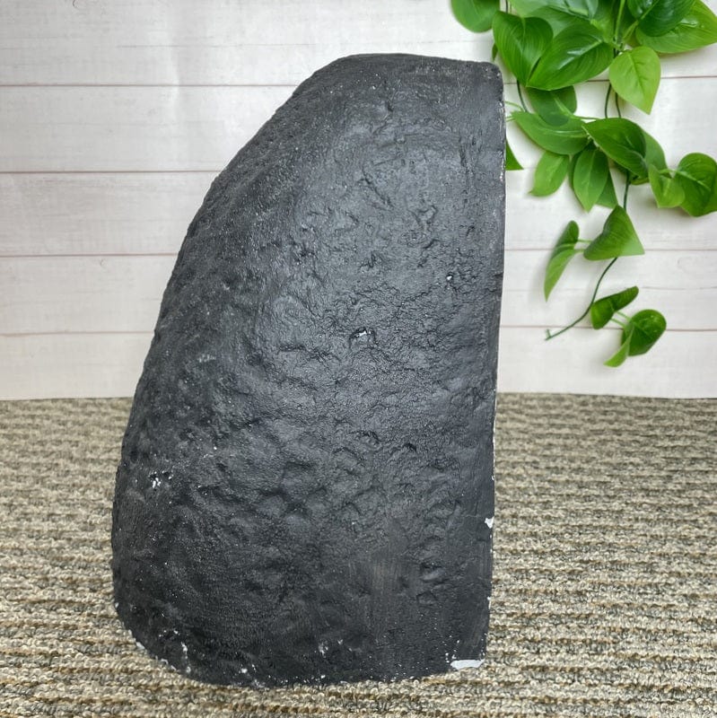 side view of the cathedral to show the thickness 