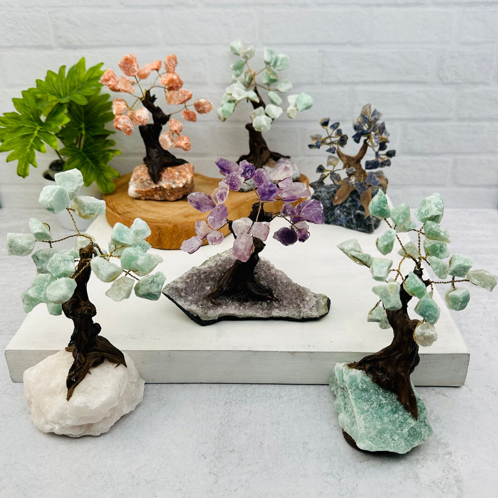 multiple trees displayed to show the differences in the crystal tree types 