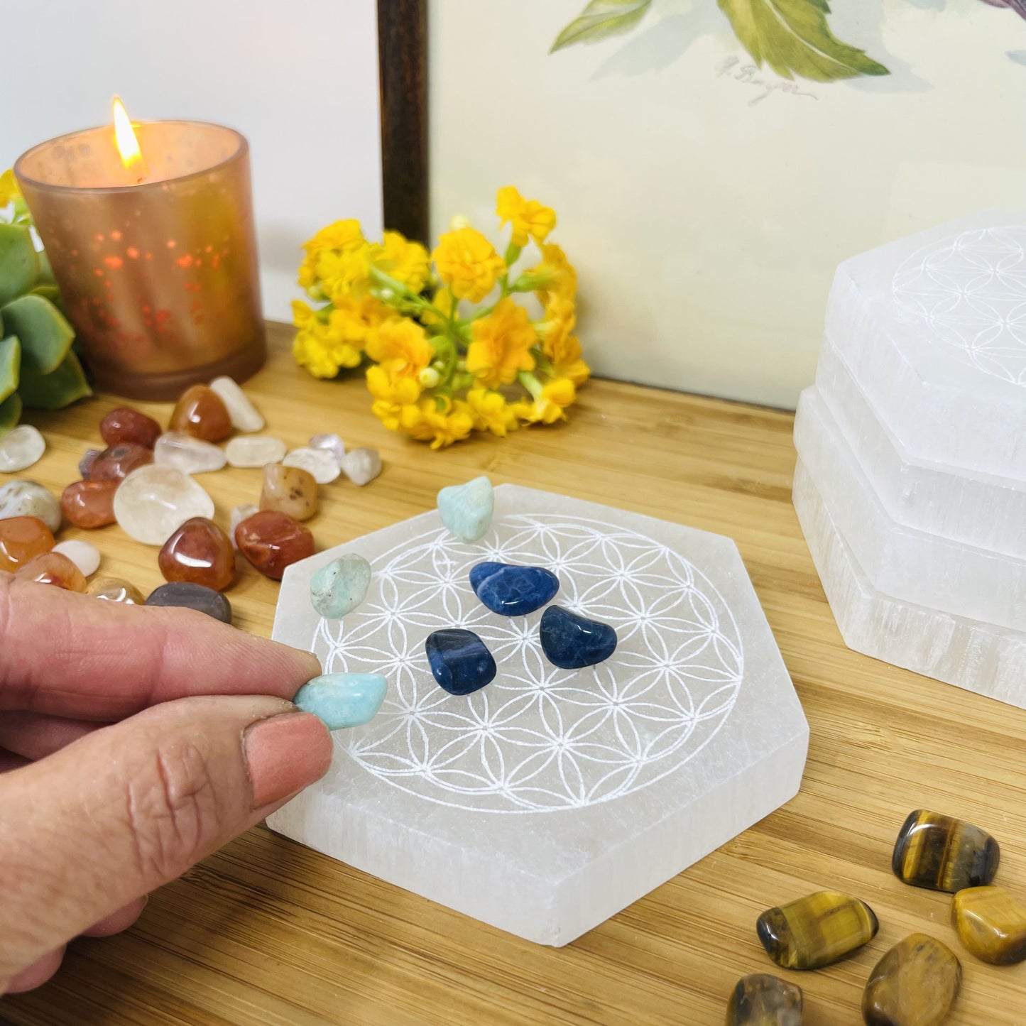 selenite hexagon engraved with flower of life on display with charging stones for approximate size reference