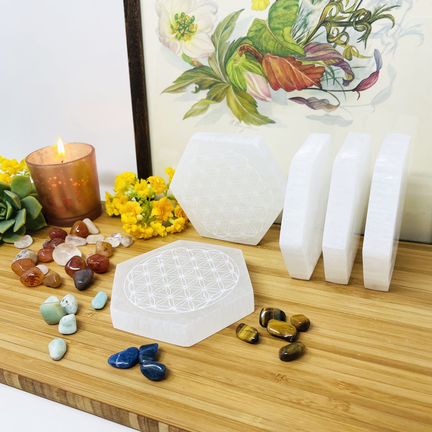 selenite hexagons engraved with flower of life on display for thickness and possible variations 