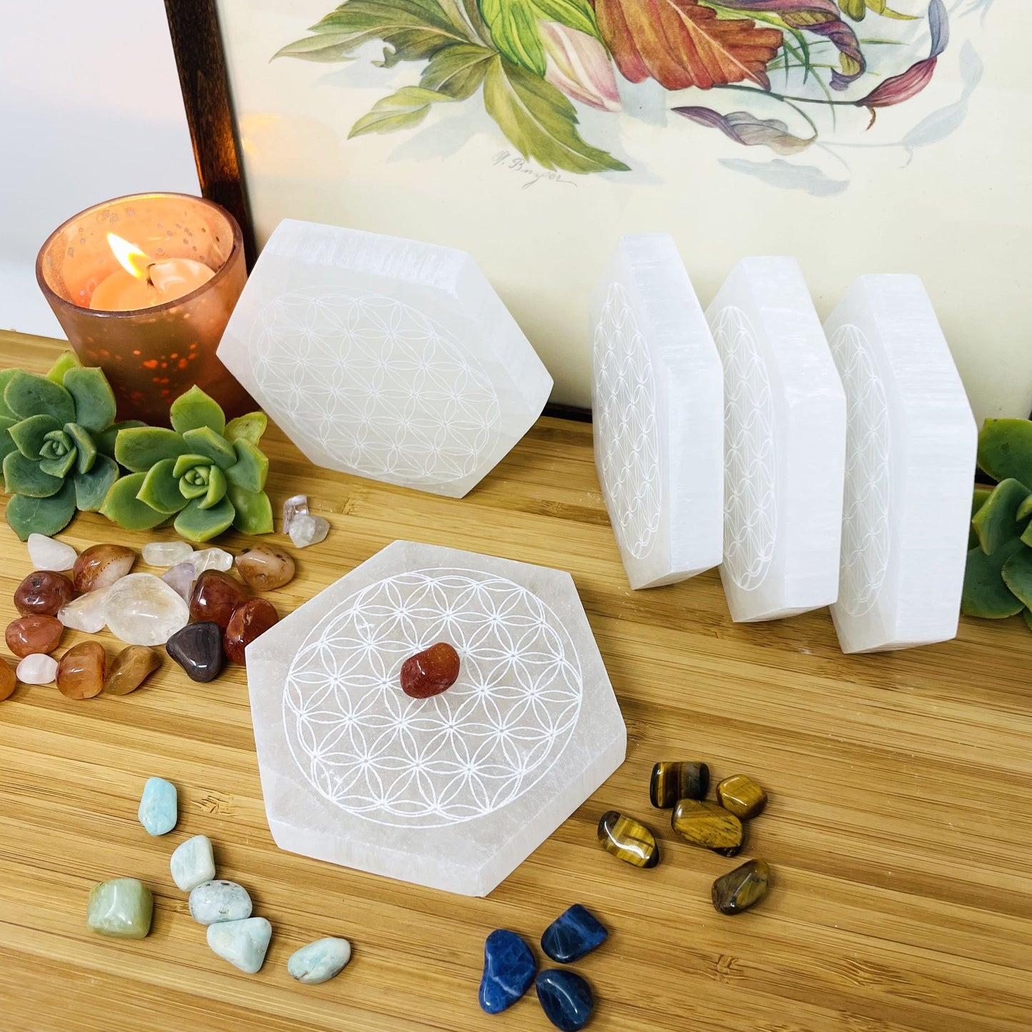 selenite hexagons engraved with flower of life on display 