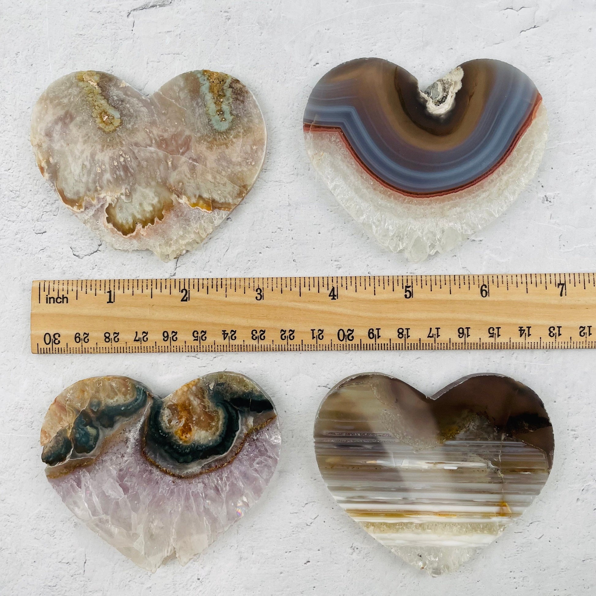 heart slices next to a ruler for size reference 