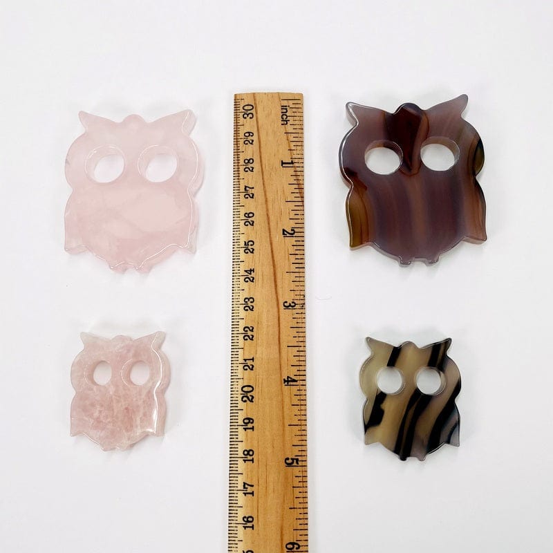 large and small owls next to a ruler for size reference 