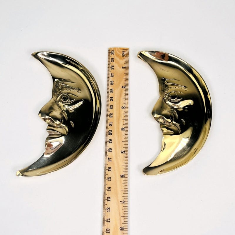 moon trays next to a ruler for size reference 