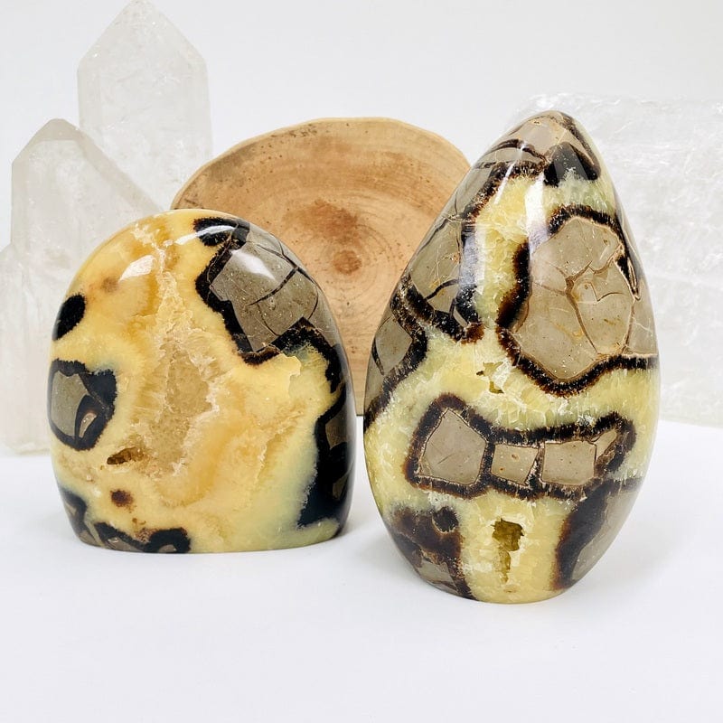 polished septarian cut base set as home decor 