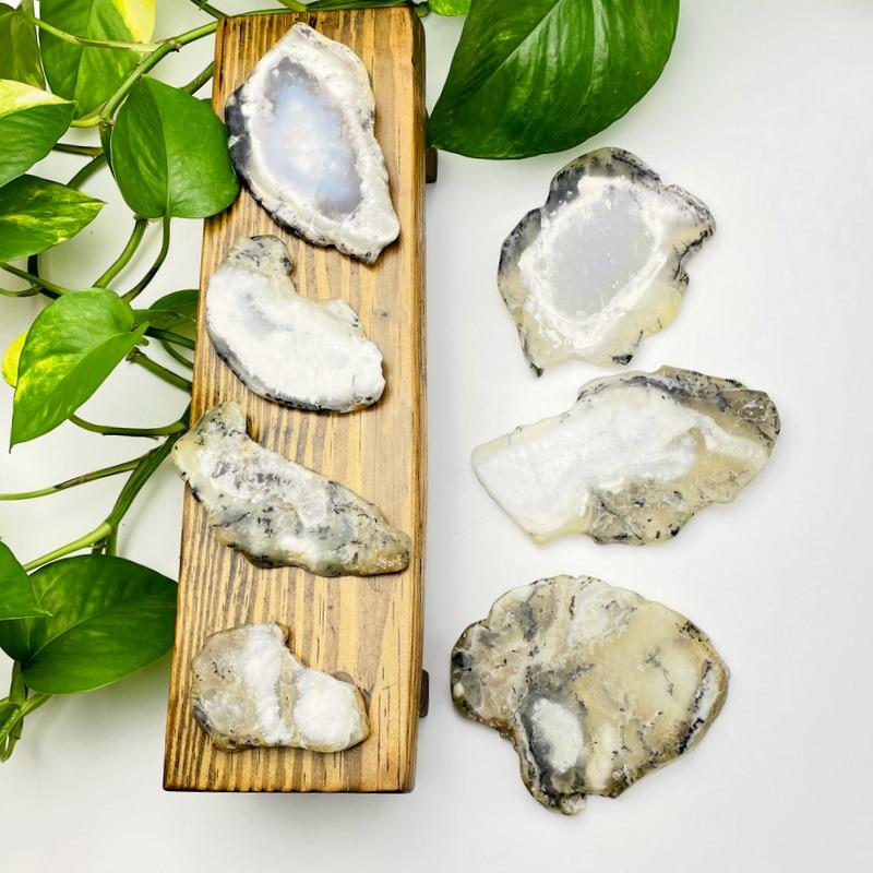 Multiple Dendritic Opal Slabs Showing Different Sizes and Patterns on White Background.