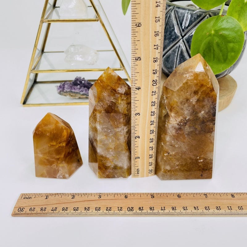 polished points next to a ruler for size reference 