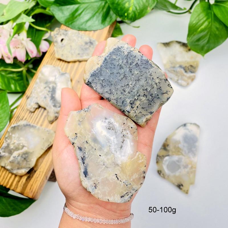 2 Dendritic Opal Slabs in Hand and 5 Around on White Background.