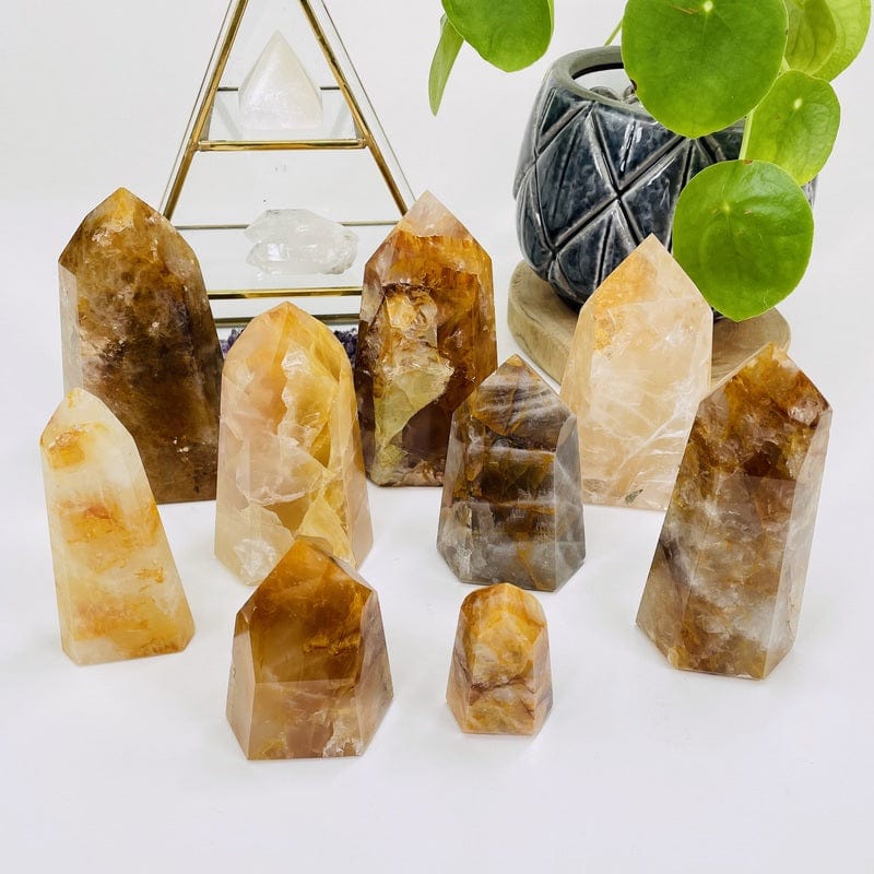 multiple golden healer polished points displayed to show the differences in the color shades and sizes 