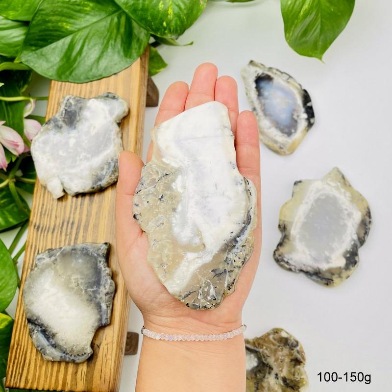Dendritic Opal Slabs in Hand and 5 Around on White Background.
