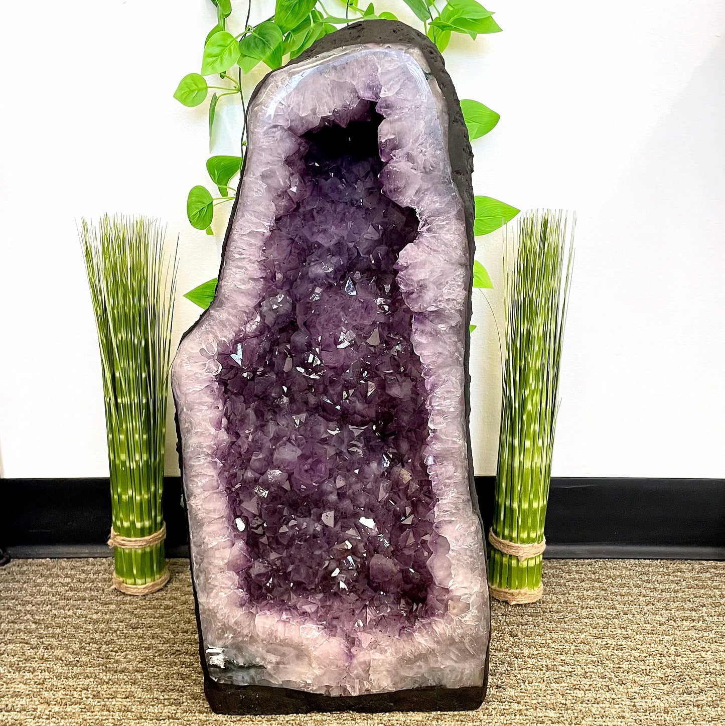 front of amethyst cave geode in front of plant decorated backdrop