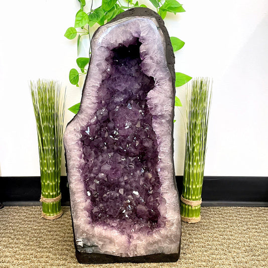 front of amethyst cave geode in front of plant decorated backdrop
