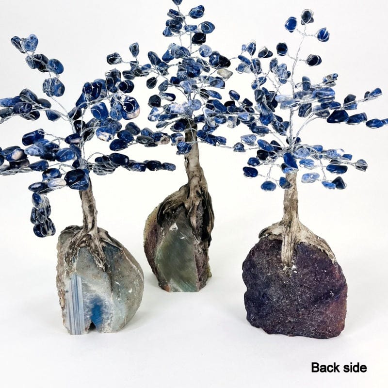back side of the geode trees 