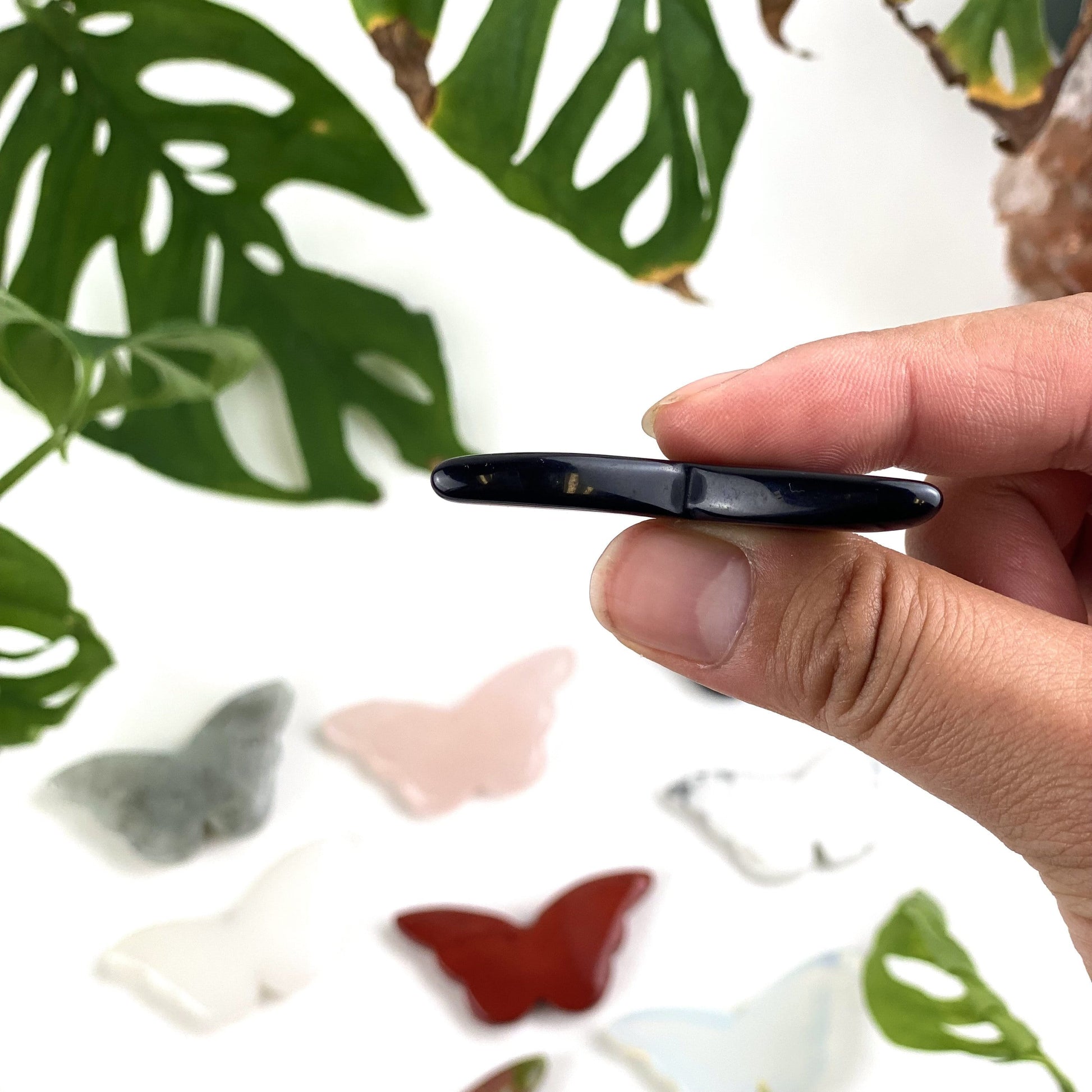 side view of a black butterfly in a woman's hand