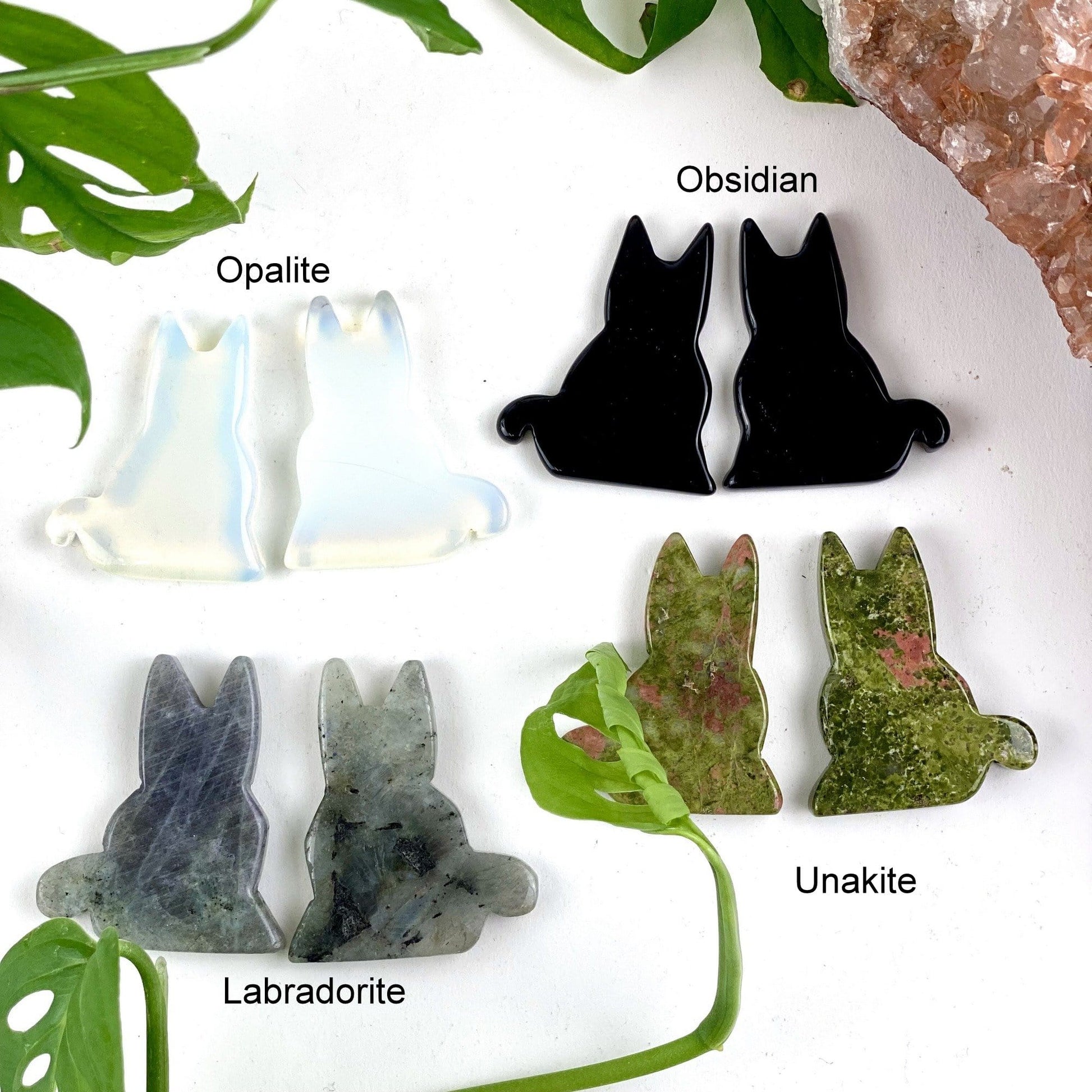 4 cat variants on a white background. opalite (top left), obsidian (top right), labradorite ( bottom left), unakite (bottom right)