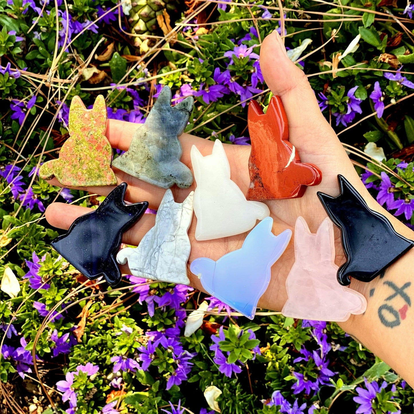 9 crystal cat figurines in hand with floral background